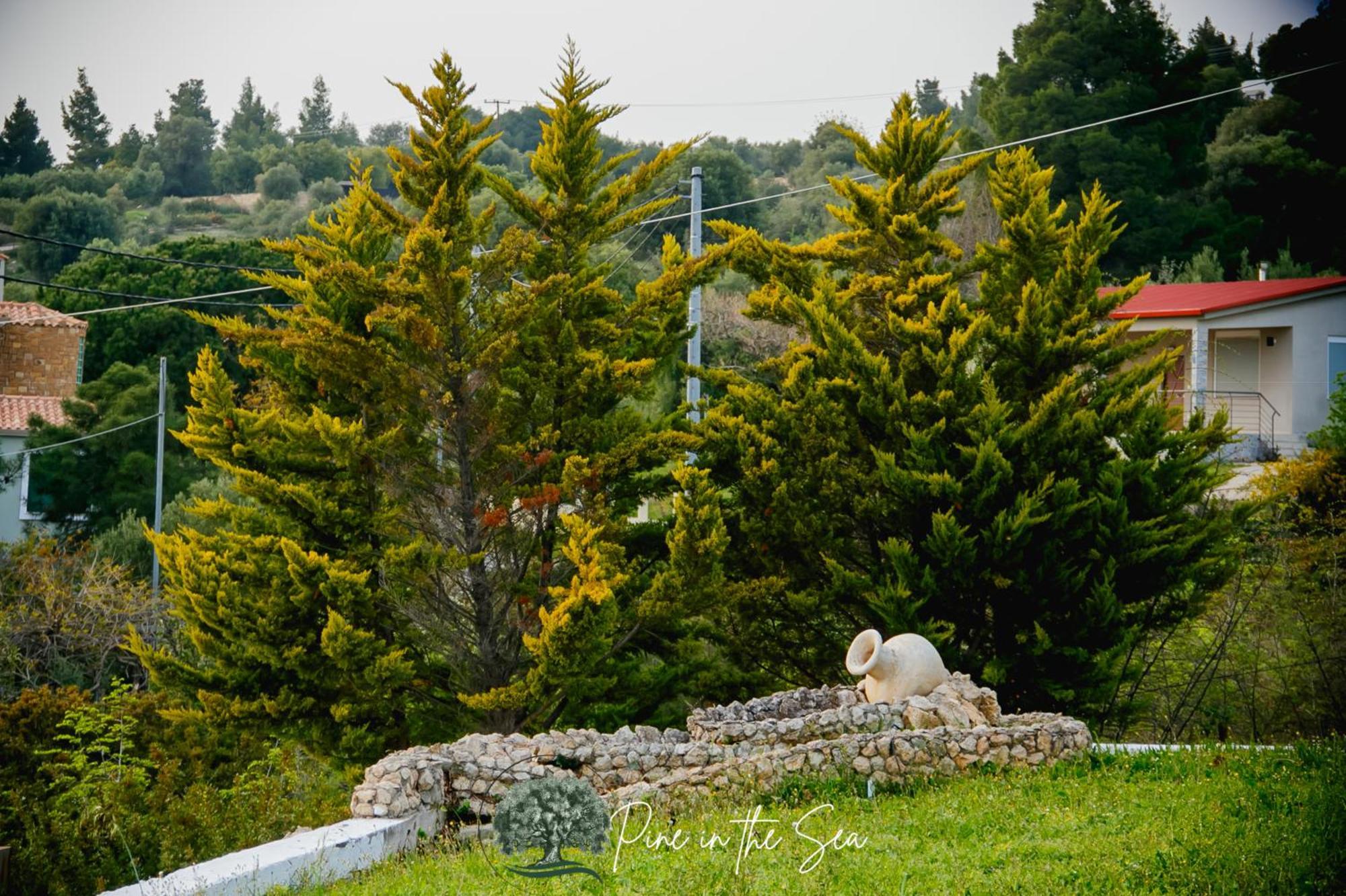 Pine In The Sea Nikiti-Sithonia Apartment Exterior photo